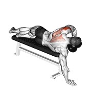 bučice ležeće jednoručno za stražnji deltoid — fitness vježba