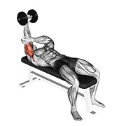bučice ležeća jednoručna pronirana ekstenzija tricepsa — fitness vježba