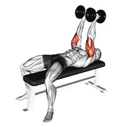bučice potisak s klupe neutralnim hvatom — fitness vježba