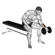 jednoručni obrnuti pregibi zapešća s bučicom — fitness vježba