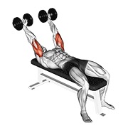 ispružanje tricepsa s bučicama proniranim hvatom — fitness vježba