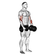 biceps pregibi obrnutim hvatom s bučicama — fitness vježba