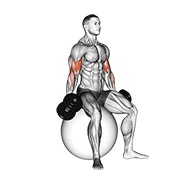 sjedeći biceps pregibi s bučicama (na lopti za stabilnost) — fitness vježba