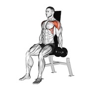 sjedeće prednje podizanje s bučicama — fitness vježba