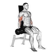 sjedeći pregibi unutarnjeg bicepsa s bučicama — fitness vježba