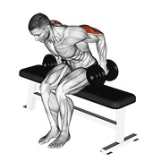 sjedeći kickback s bučicama — fitness vježba