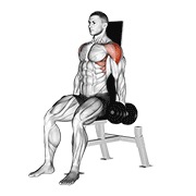 sjedeće bočno podizanje s bučicama v. 2 — fitness vježba