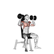 sjedeći potisak za ramena s bučicama — fitness vježba