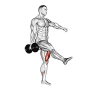 jednonožni čučanj s bučicom — fitness vježba