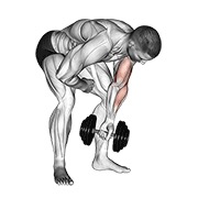 stojeći koncentracijski pregibi jednom rukom s bučicom — fitness vježba