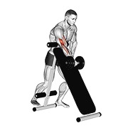 stojeći pregibi jednom rukom s bučicom (preko kose klupe) — fitness vježba