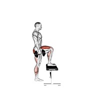 uspon na klupu s bučicama — fitness vježba