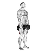 mrtvo dizanje s ukočenim nogama s bučicama — fitness vježba