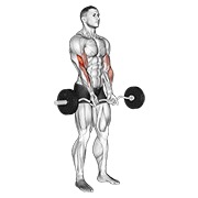 pregibi uskim hvatom s EZ šipkom — fitness vježba