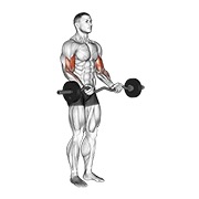 pregibi s EZ šipkom — fitness vježba