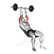 ispružanje tricepsa na kosoj klupi s EZ šipkom — fitness vježba