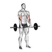 pregibi obrnutim hvatom s EZ šipkom — fitness vježba