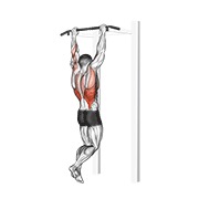 Gironda zgibanja do sternuma — fitness vježba