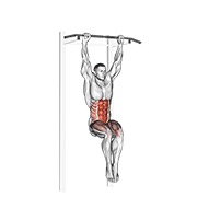 viseća štuka — fitness vježba
