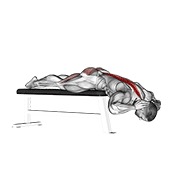 hiperekstenzija (na klupi) — fitness vježba
