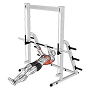 obrnuto veslanje — fitness vježba