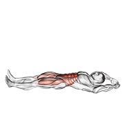 jackknife trbušnjaci — fitness vježba