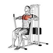 potisak za prsa na spravi — fitness vježba