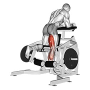 klečeći pregibi nogu na spravi — fitness vježba