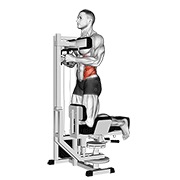 klečeća rotacija na spravi — fitness vježba