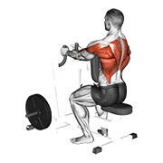 sjedeće veslanje uskim hvatom na spravi — fitness vježba