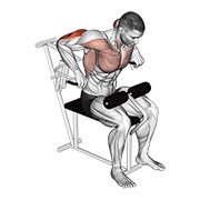 dips za triceps nadhvatom na spravi — fitness vježba