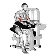 pregibi na Larry Scott klupi na spravi — fitness vježba