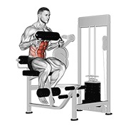sjedeći trbušnjaci na spravi (jastuk za prsa) — fitness vježba