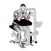ekstenzija tricepsa na spravi — fitness vježba