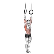 muscle-up — fitness vježba