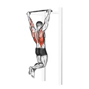 zgib — fitness vježba