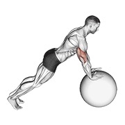 sklek (na lopti za stabilnost) — fitness vježba