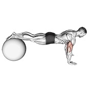 sklek (na lopti za stabilnost) — fitness vježba