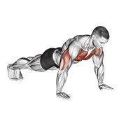 sklek — fitness vježba