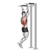 zgib obrnutim hvatom — fitness vježba