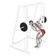 good morning sa savijenim koljenima na Smith spravi — fitness vježba