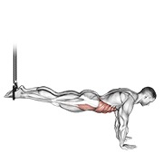 viseći obrnuti crunch — fitness vježba