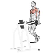 dips za triceps — fitness vježba