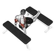 dips na klupi s opterećenjem — fitness vježba