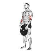 stojeći pregibi s utegom — fitness vježba