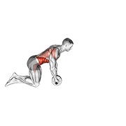 izvlačenje kotačem — fitness vježba