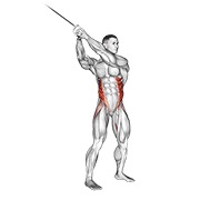 rotacije trupa na sajli (gore-dolje) — fitness vježba