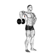 uspravna vanjska rotacija ramena s bučicom — fitness vježba