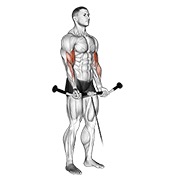pregibi na sajli — fitness vježba
