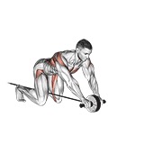 izvlačenje kotača za trbušnjake s pomoći trake — fitness vježba